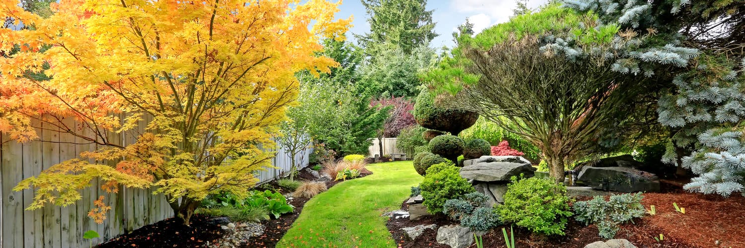 Landscape Design Cooksville IL